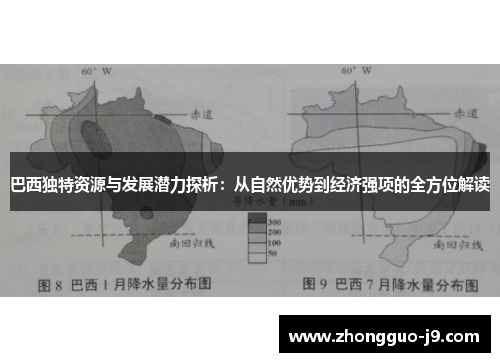巴西独特资源与发展潜力探析：从自然优势到经济强项的全方位解读