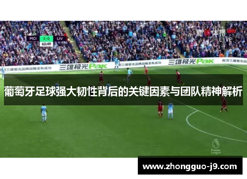 葡萄牙足球强大韧性背后的关键因素与团队精神解析