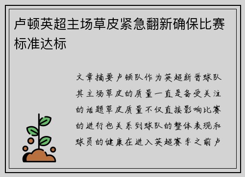 卢顿英超主场草皮紧急翻新确保比赛标准达标